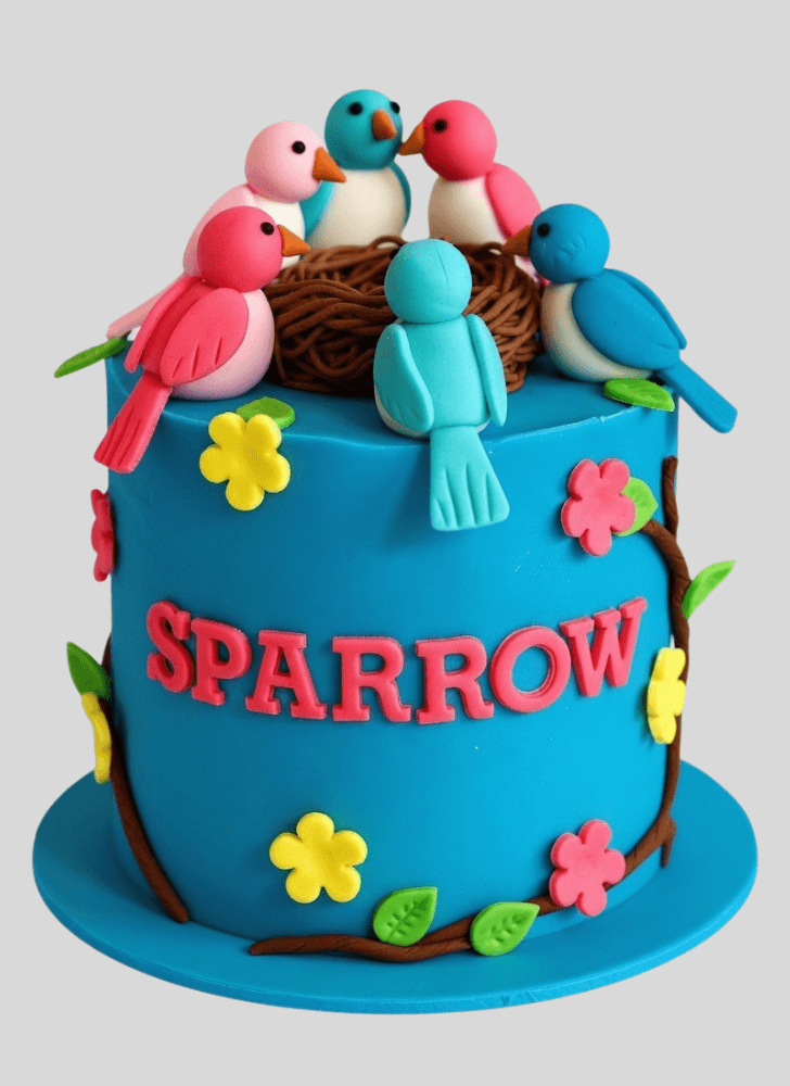 Nice Sparrow Cake