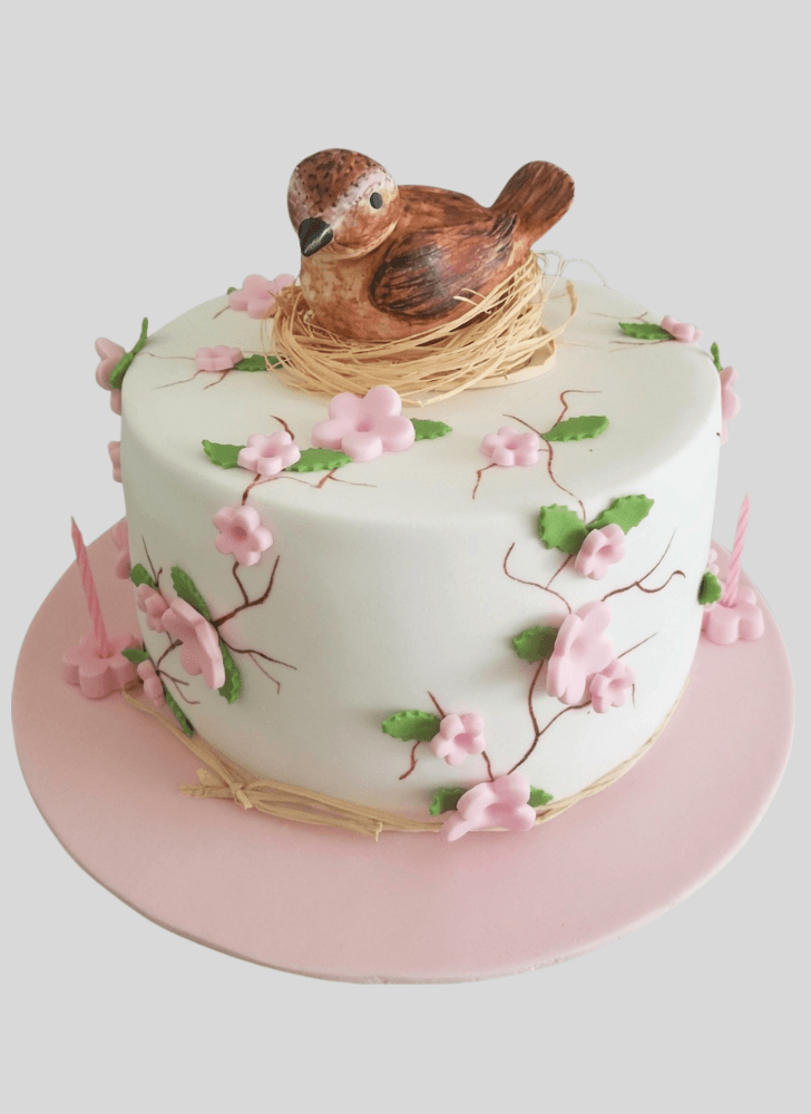 Superb Sparrow Cake