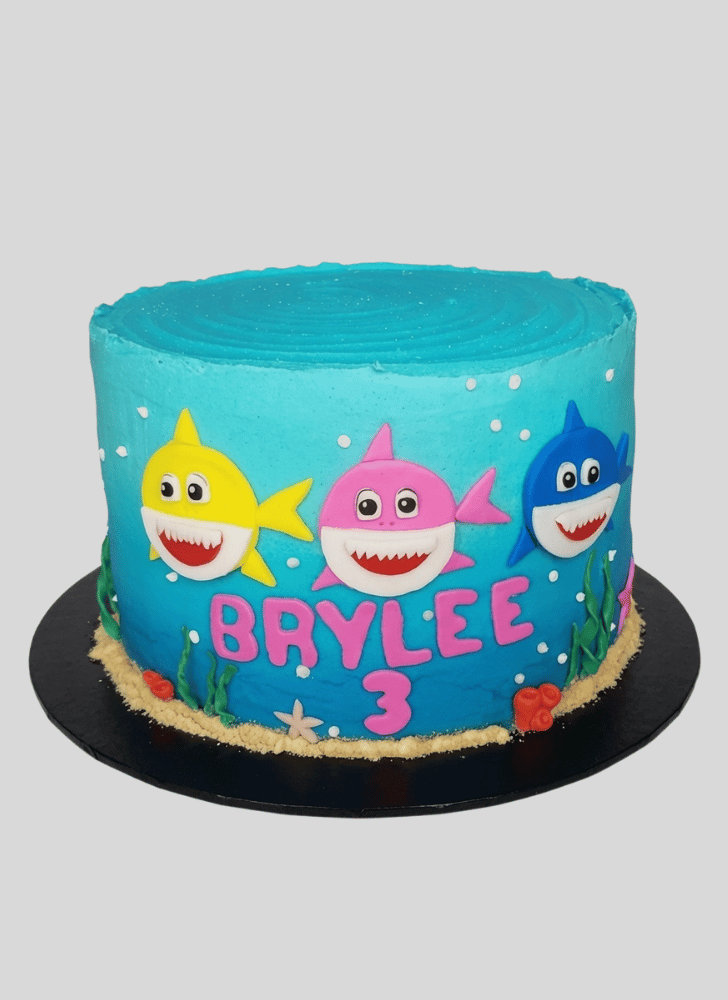 Enthralling Water Cake