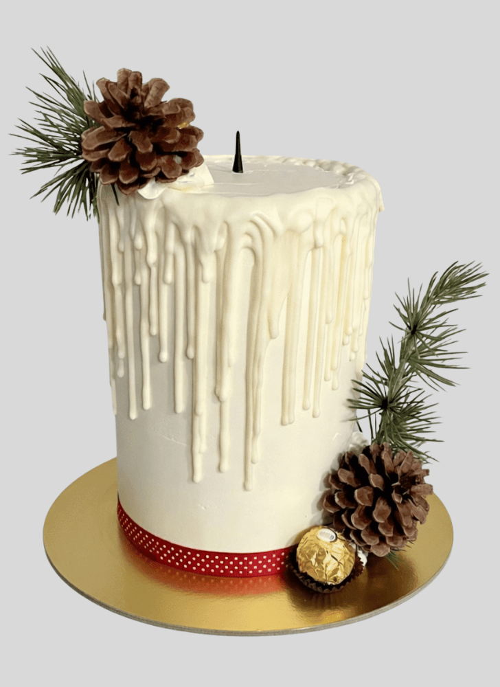 Appealing Candle Cake