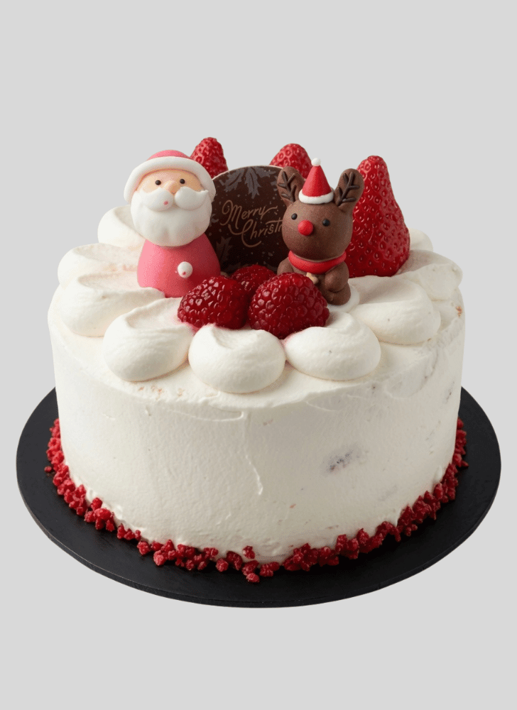 Appealing Christmas Cake