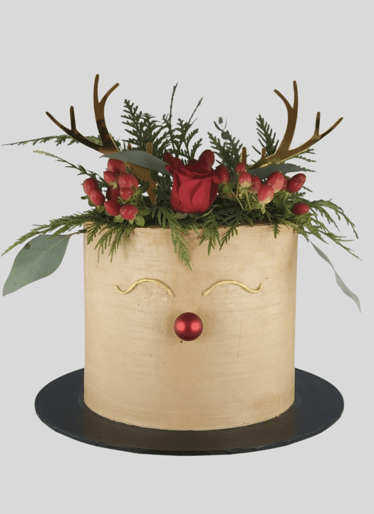 Divine Christmas Cake