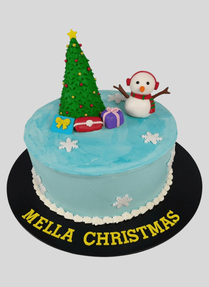 Fair Christmas Cake