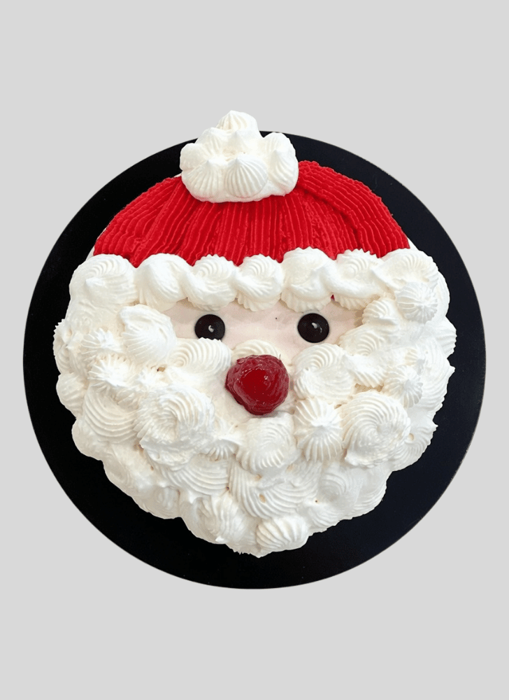 Magnetic Christmas Cake