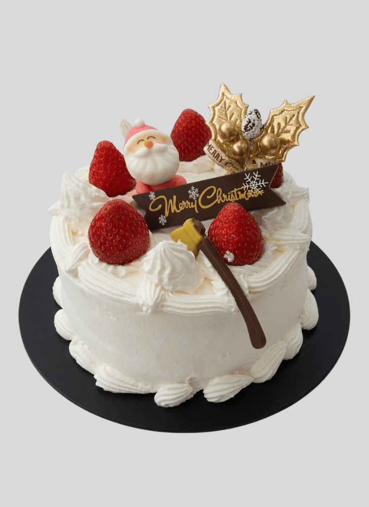 Shapely Christmas Cake