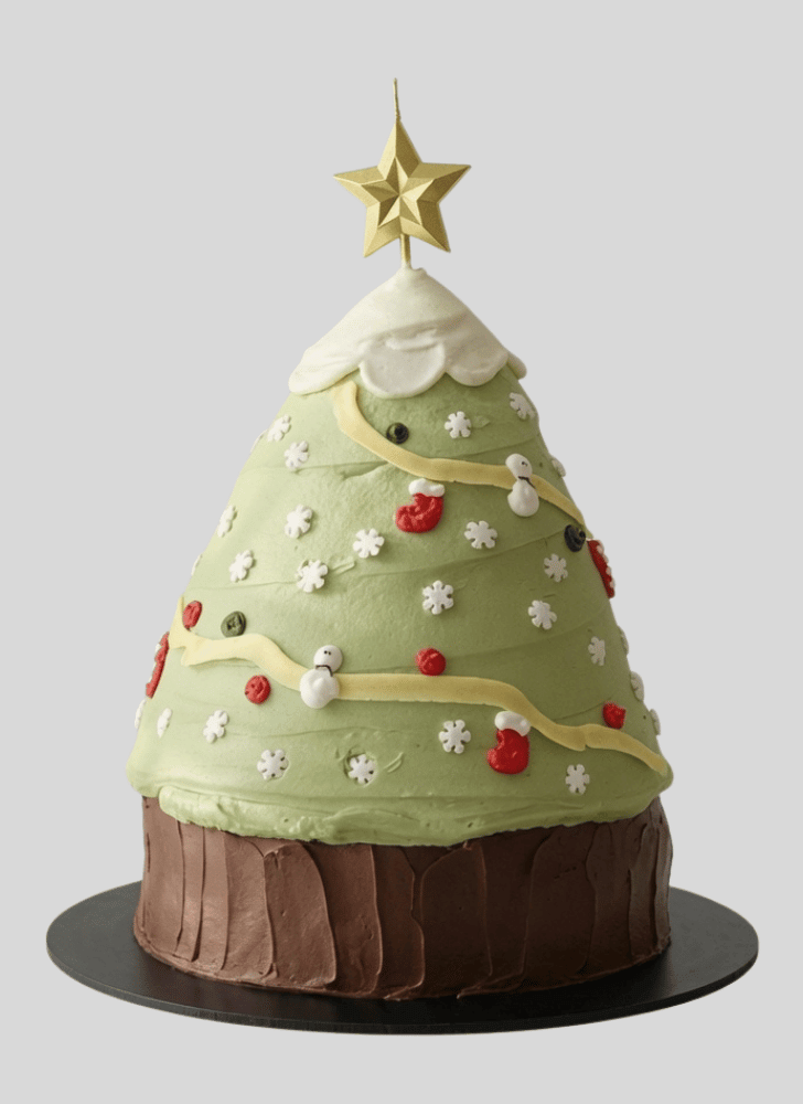 Slightly Christmas Cake