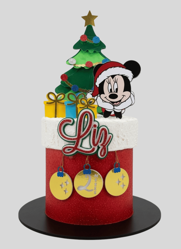 Stunning Christmas Cake