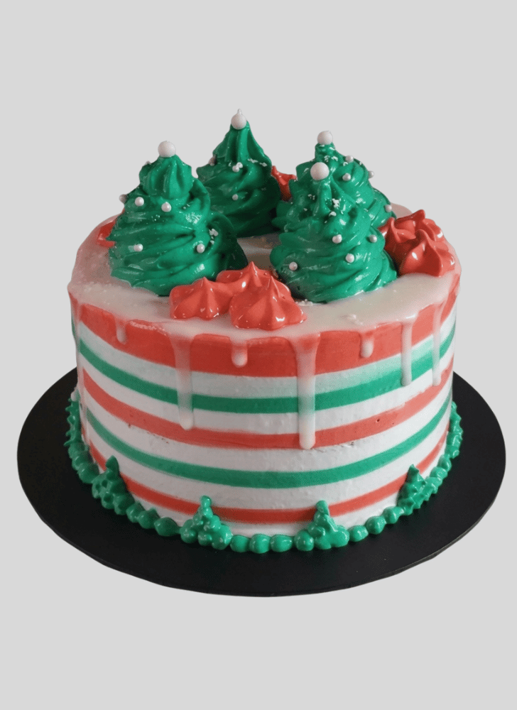Wonderful Christmas Cake Design