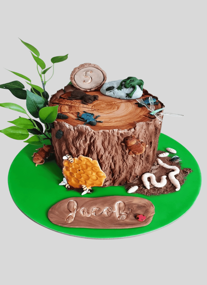 Bewitching Forest Cake