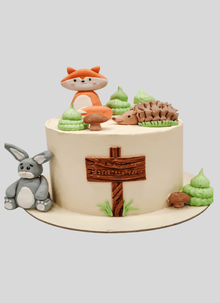 Comely Forest Cake