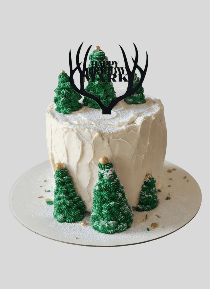 Excellent Forest Cake
