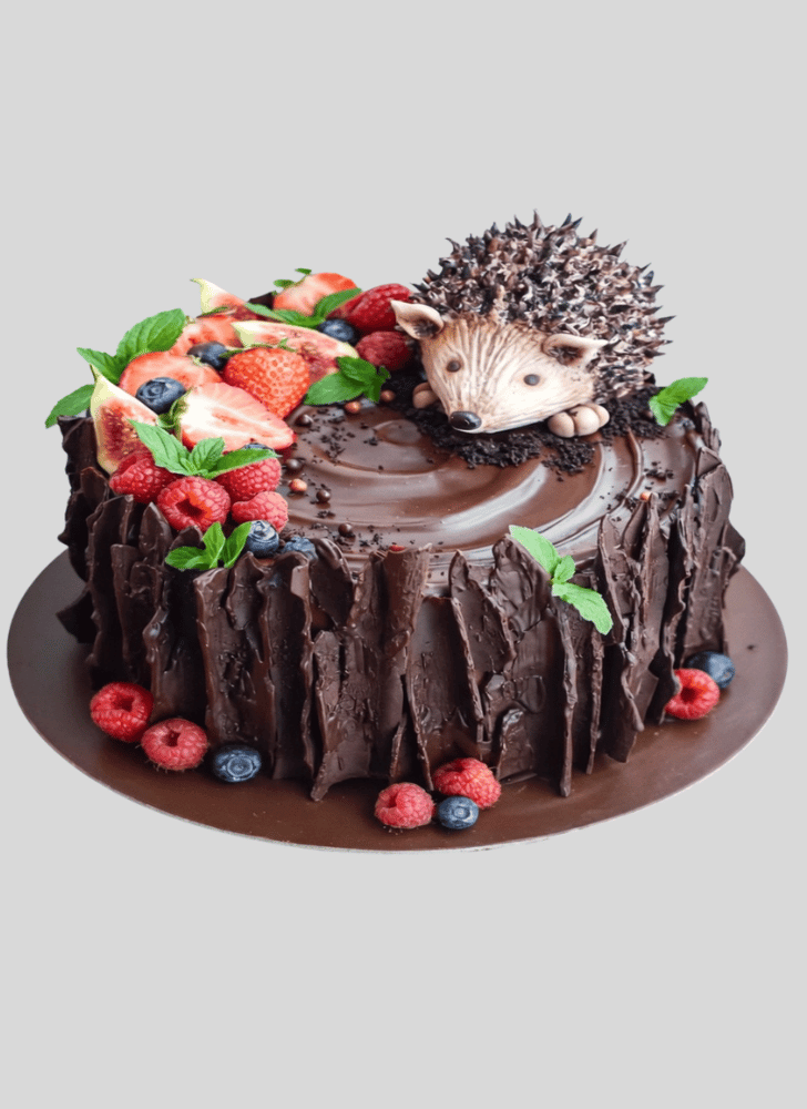 Fascinating Forest Cake