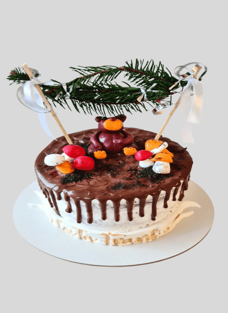 Good Looking Forest Cake