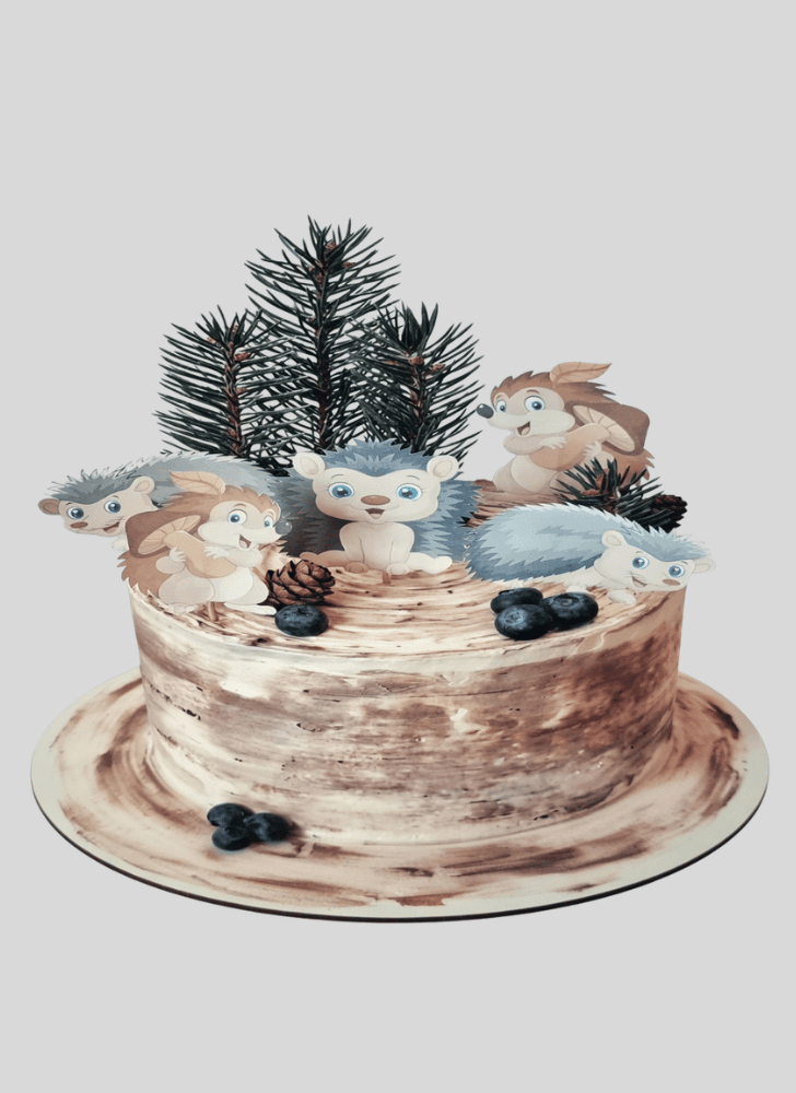Magnetic Forest Cake