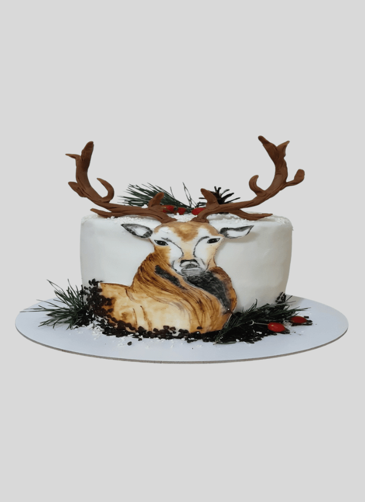 Splendid Forest Cake
