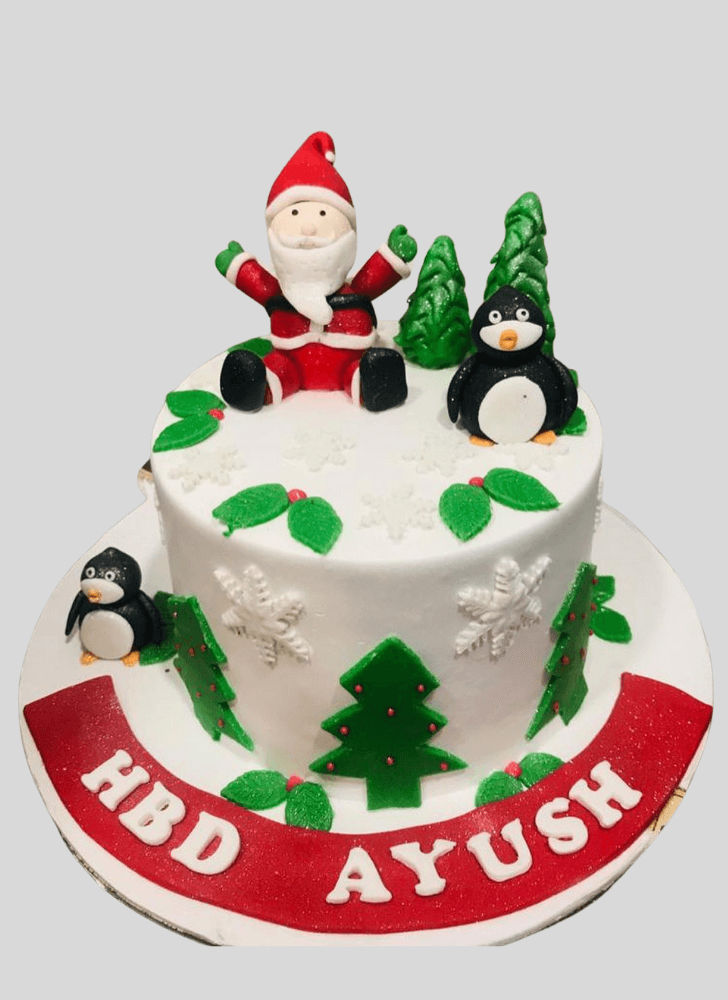 AnSantaic Santa Cake