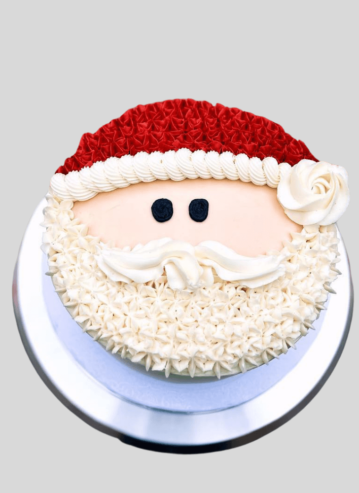 Comely Santa Cake
