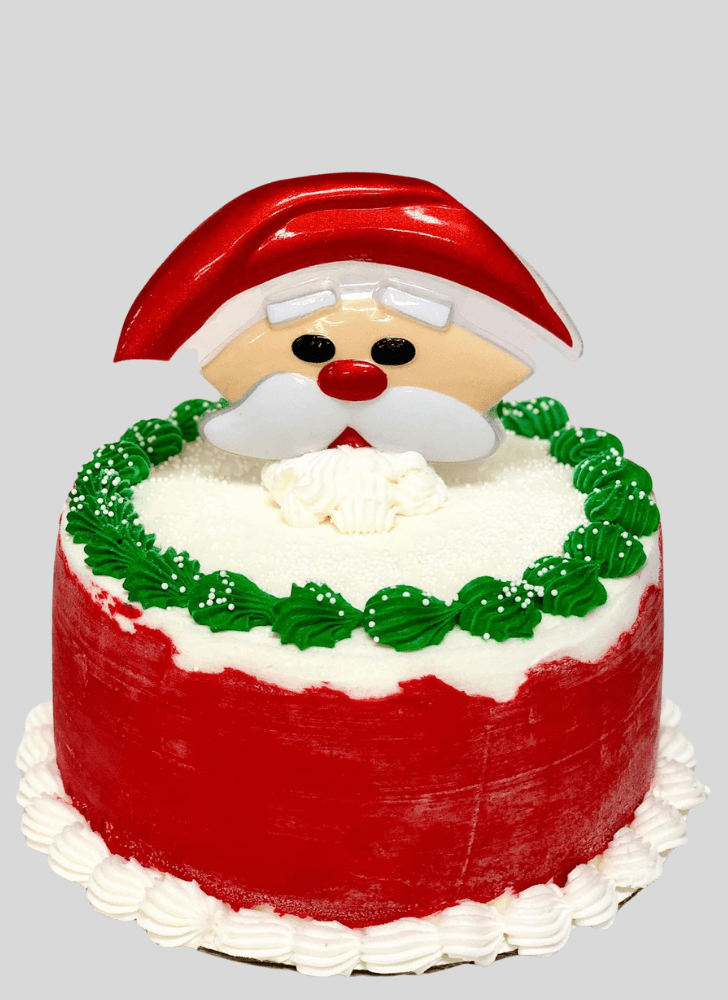 Delicate Santa Cake