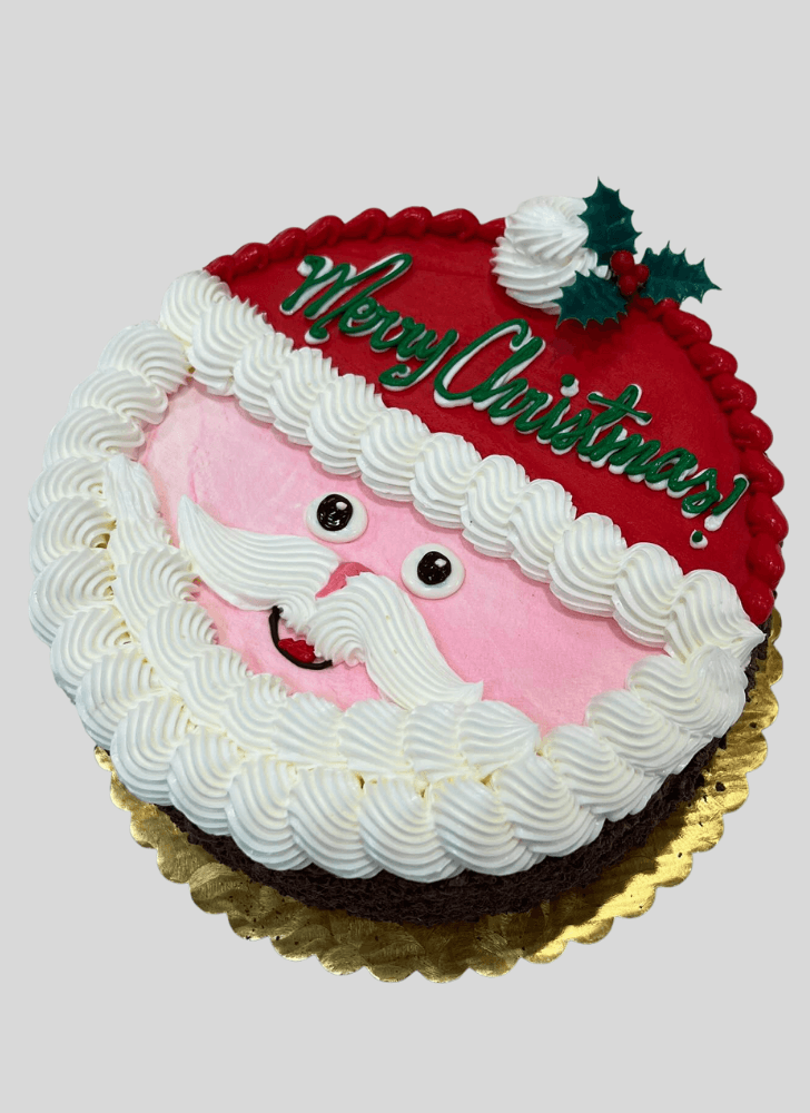 Elegant Santa Cake
