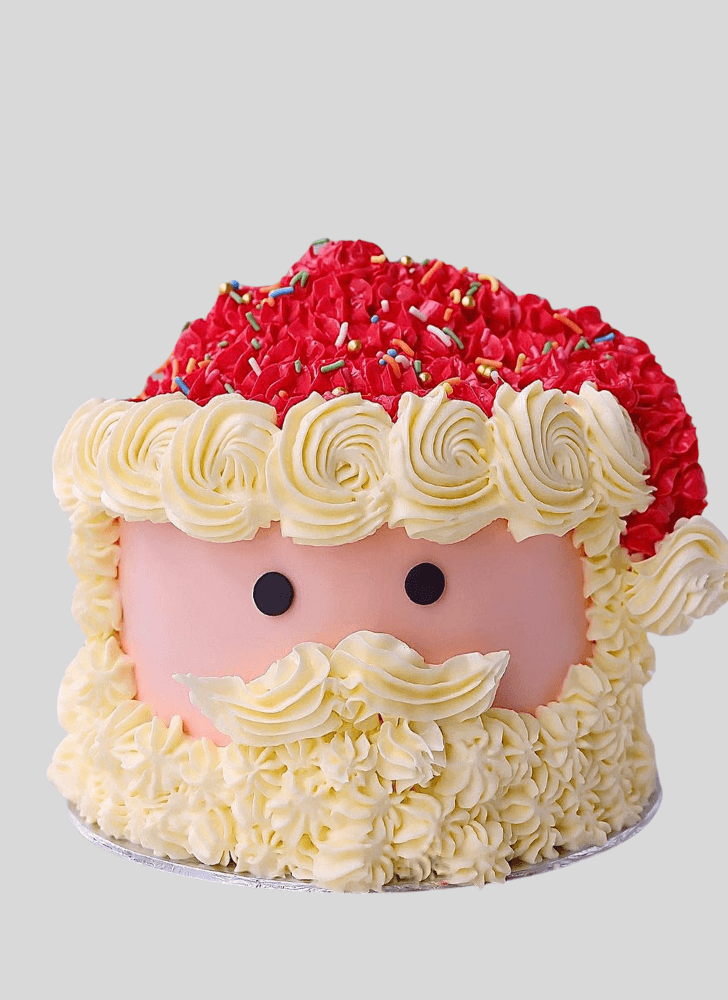 Exquisite Santa Cake