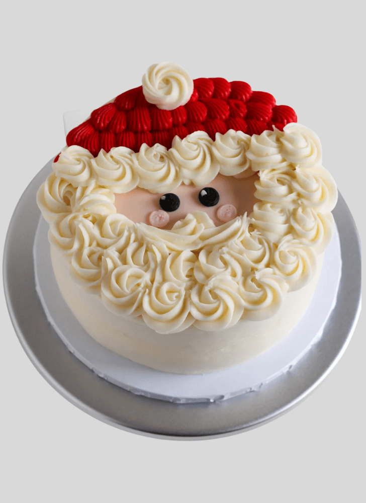 Fine Santa Cake