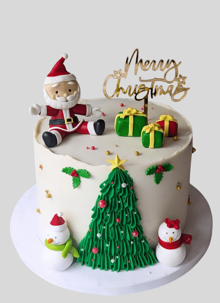 Gorgeous Santa Cake