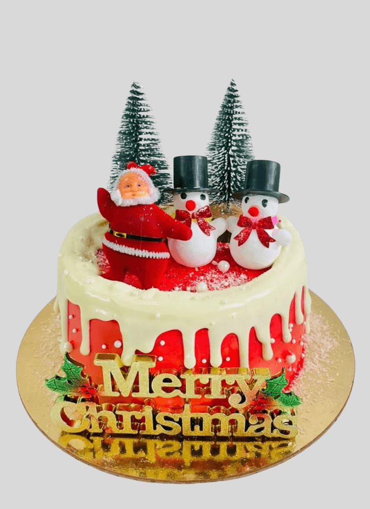 Ideal Santa Cake