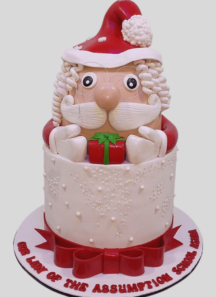Pleasing Santa Cake