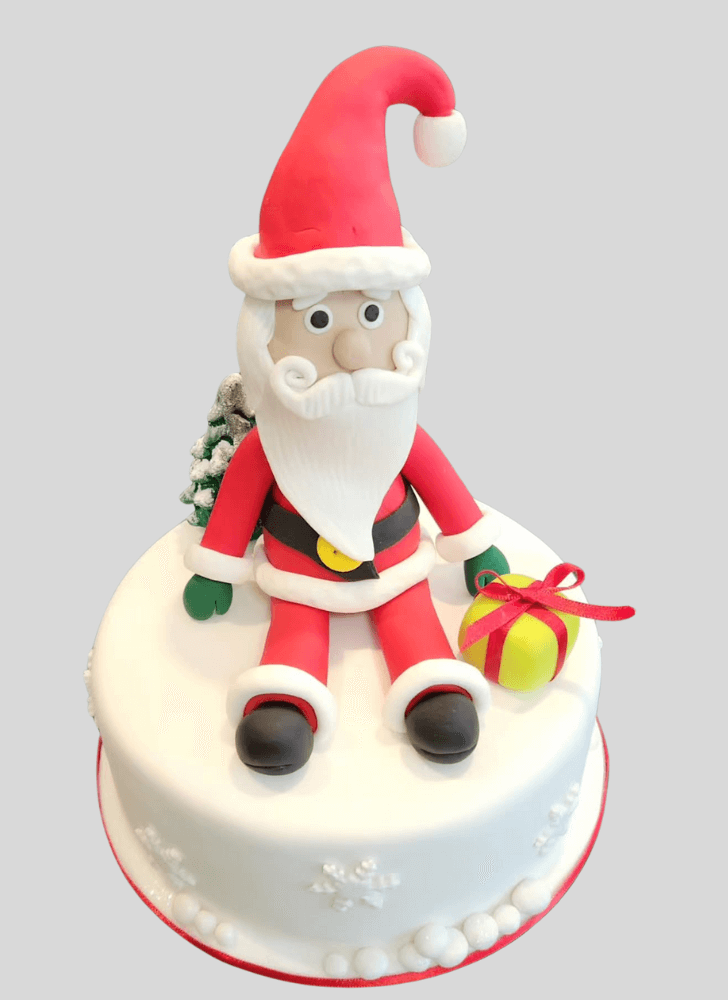 Pretty Santa Cake