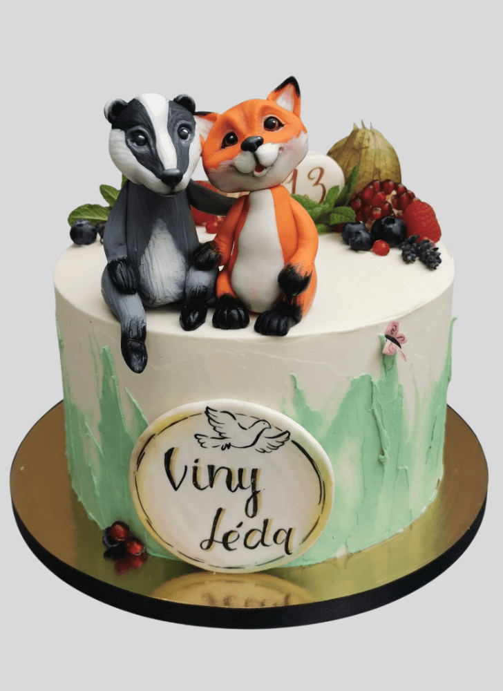 Bewitching Badger Cake