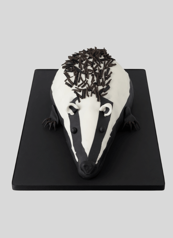 Classy Badger Cake