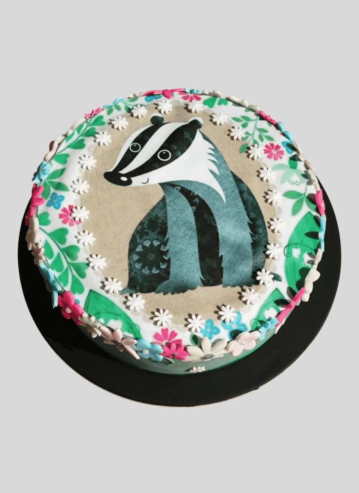 Dazzling Badger Cake