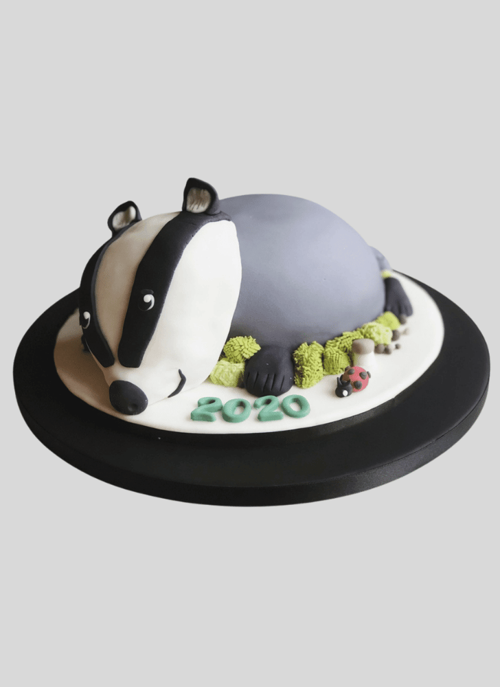 Fair Badger Cake