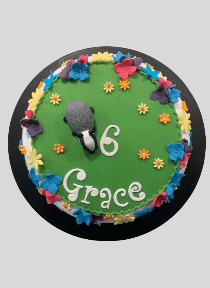 Good Looking Badger Cake