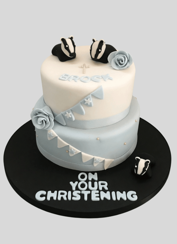 Handsome Badger Cake