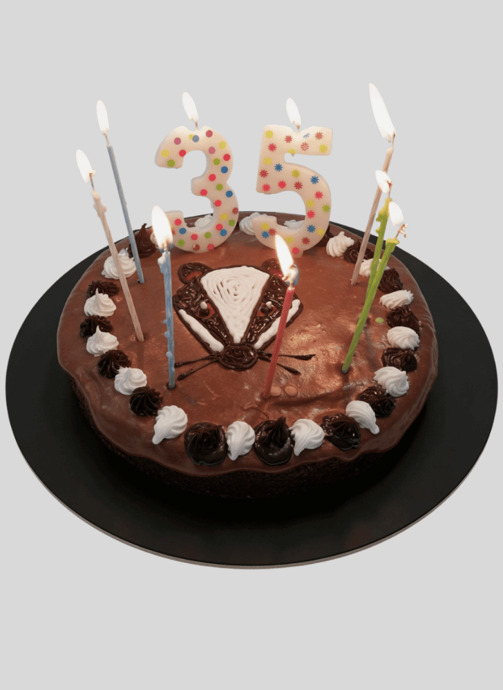 Magnetic Badger Cake