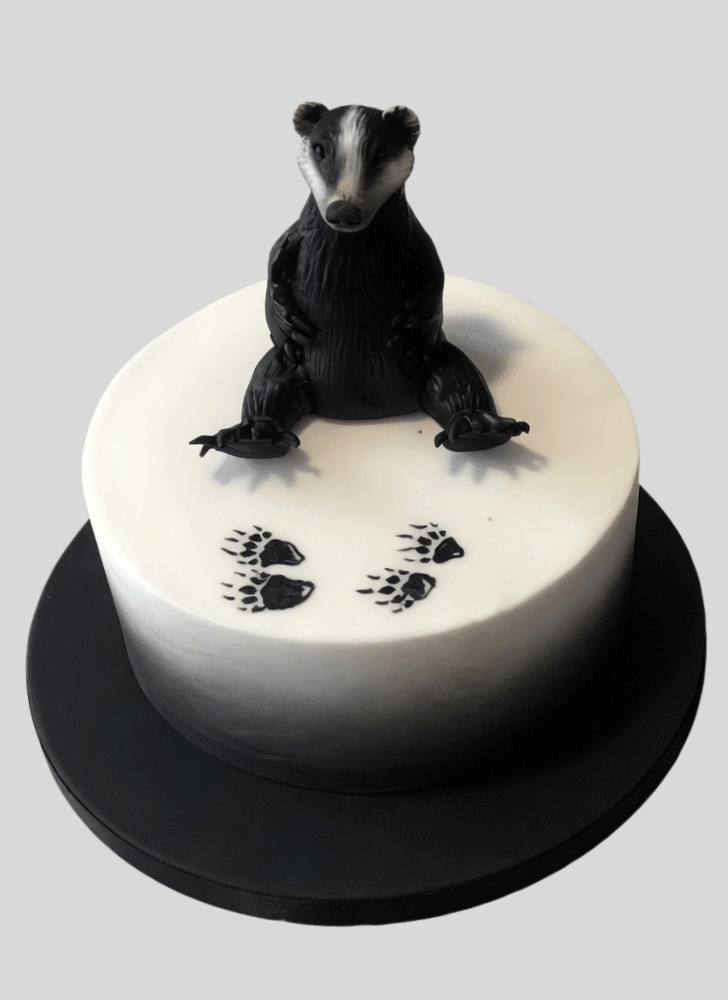 Shapely Badger Cake