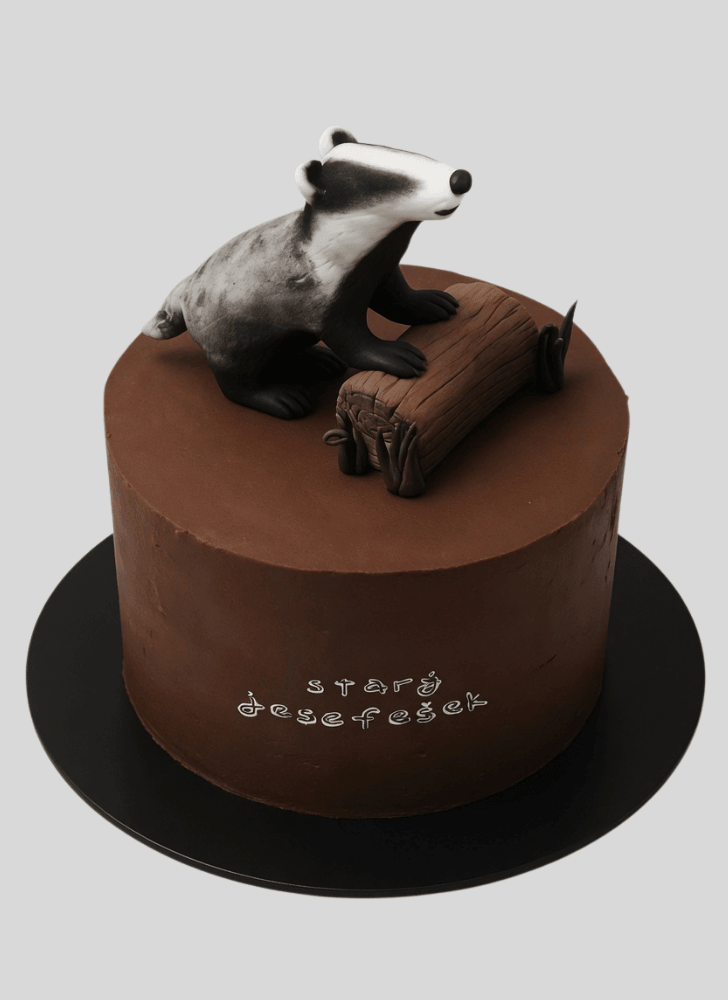 Stunning Badger Cake
