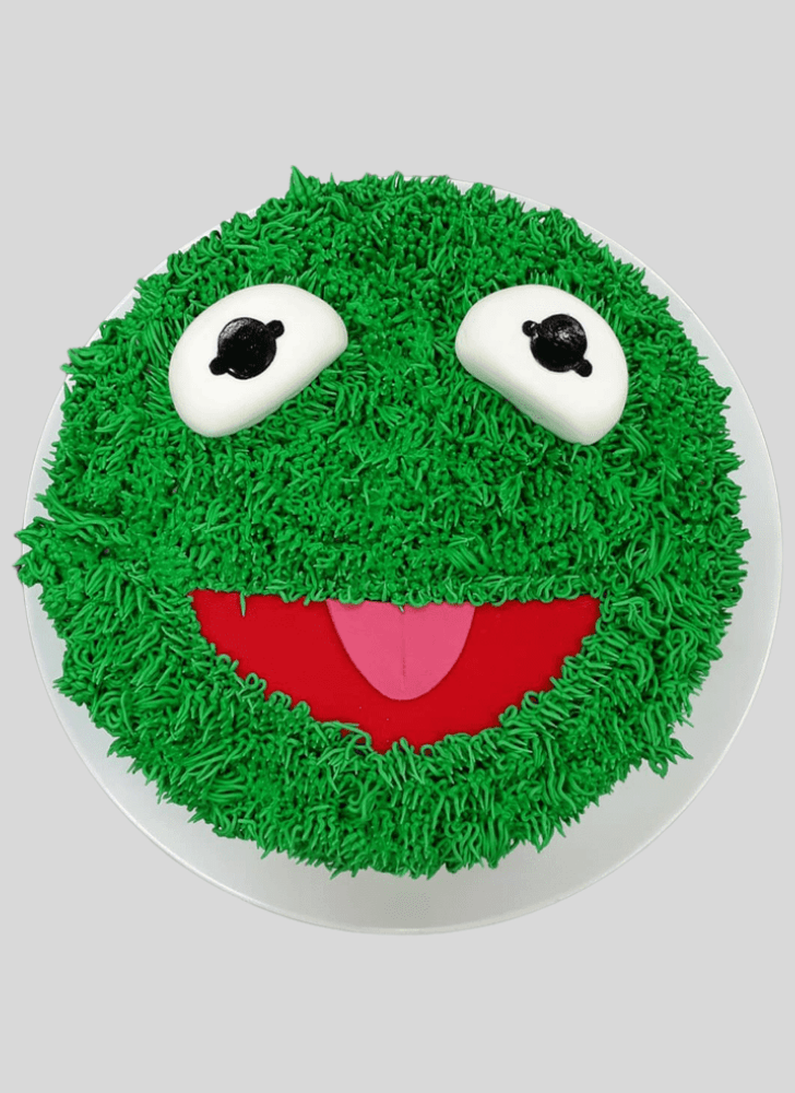 Magnetic Muppets Cake