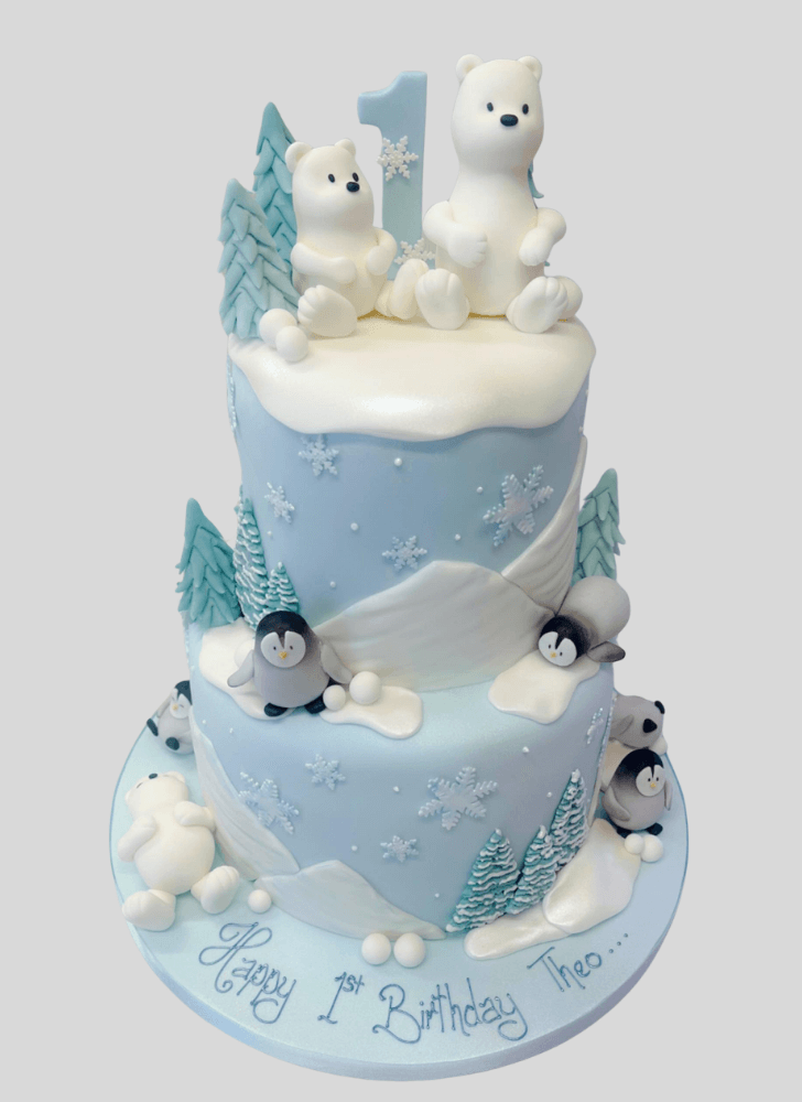 Admirable Winter Cake Design