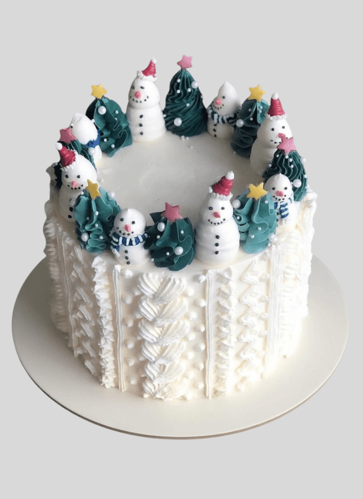 Beauteous Winter Cake