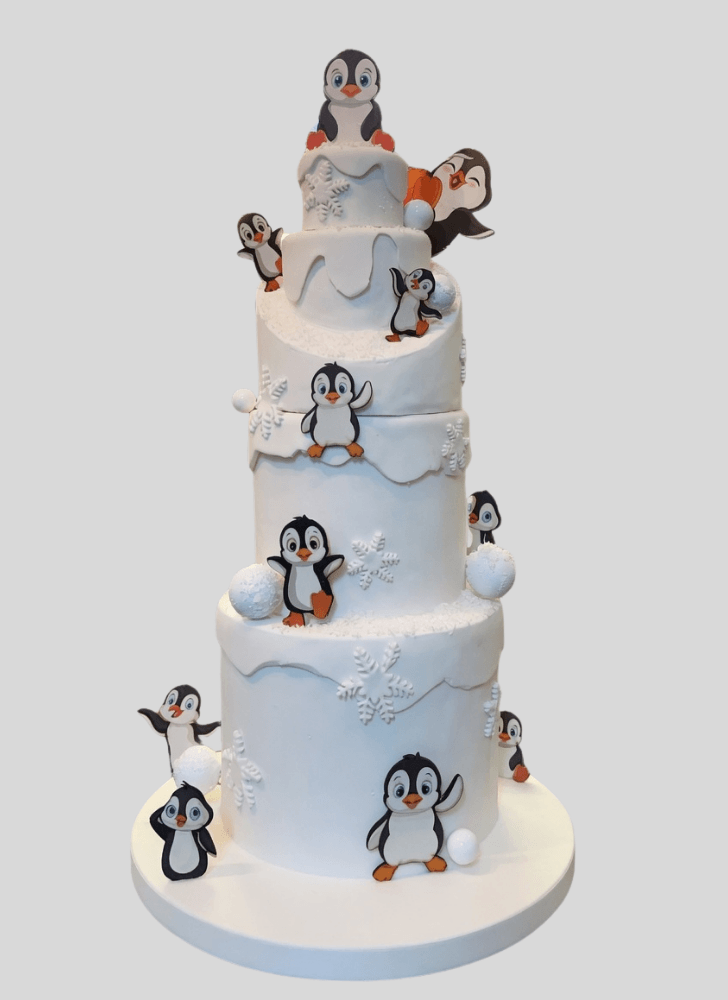 Bewitching Winter Cake