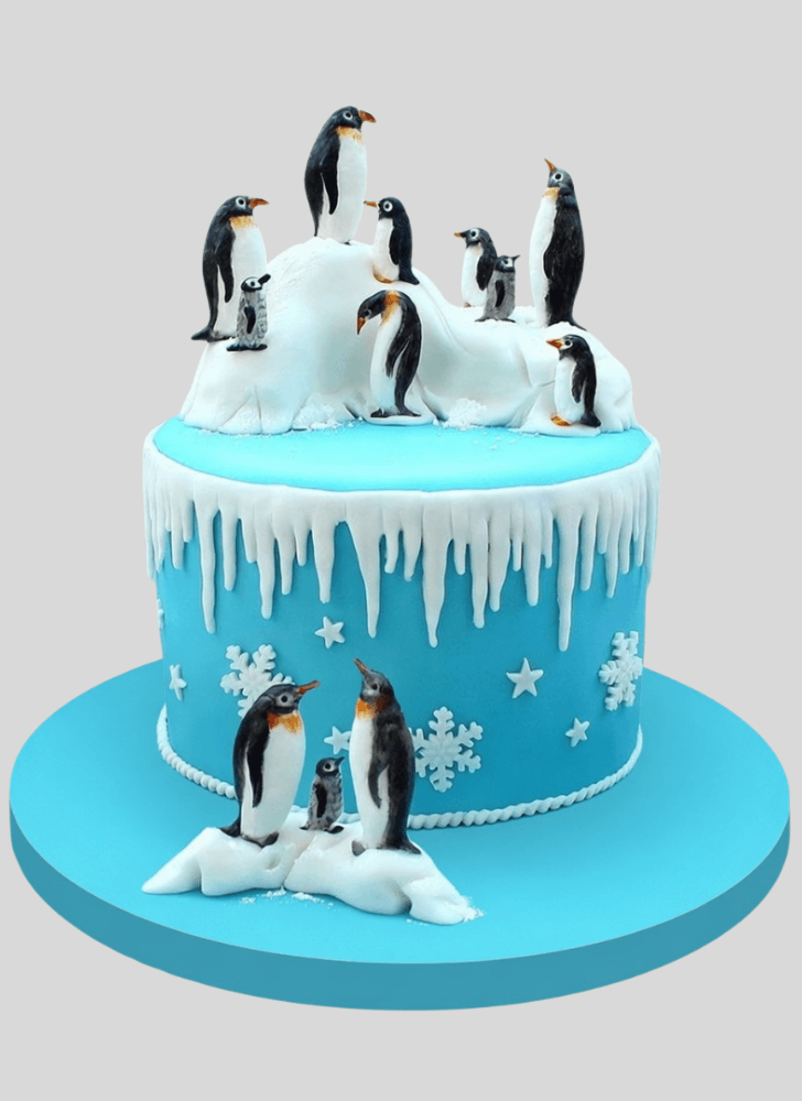 Captivating Winter Cake