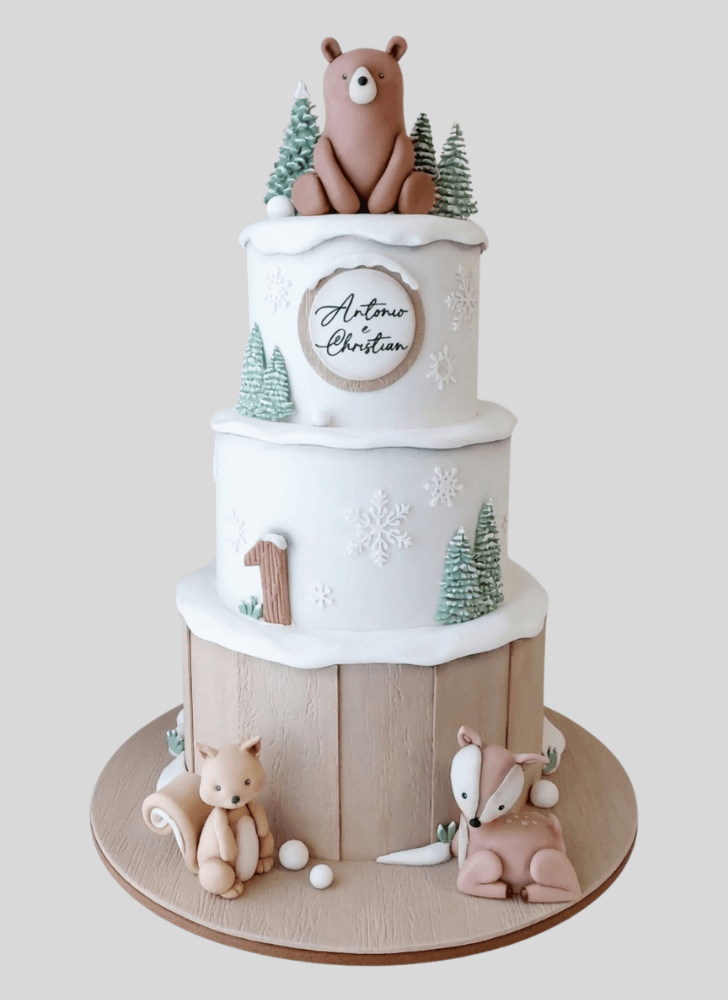 Comely Winter Cake