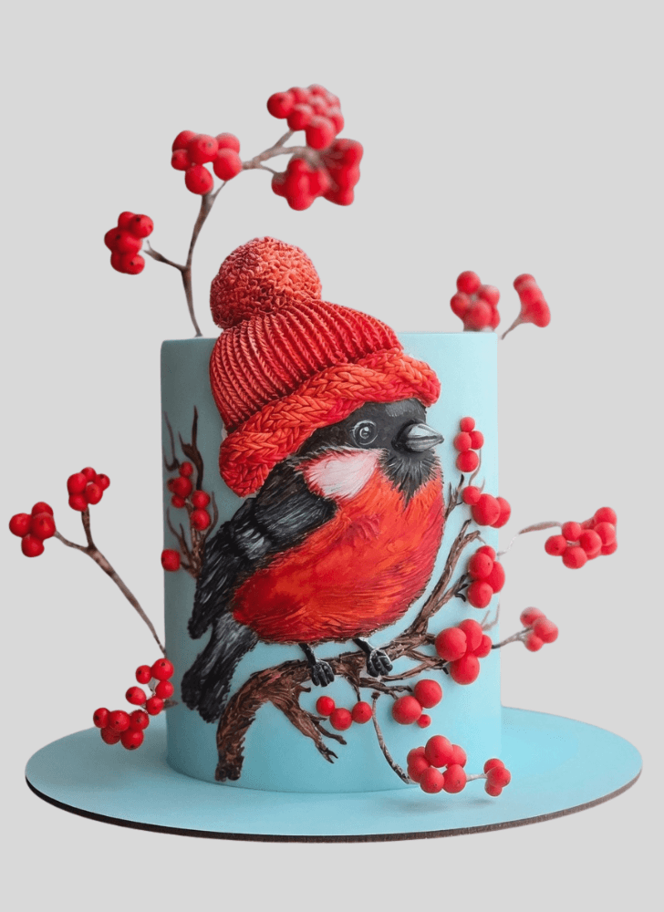 Dazzling Winter Cake