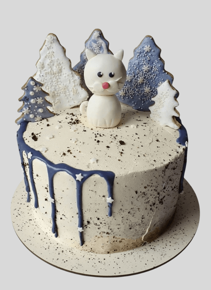 Enticing Winter Cake