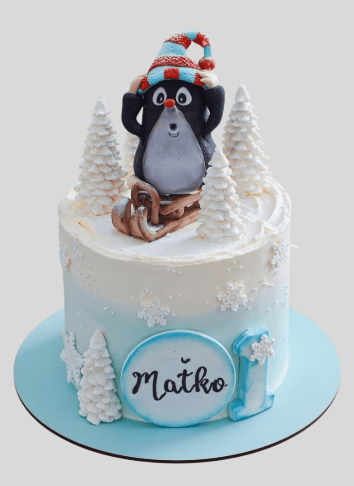 Excellent Winter Cake