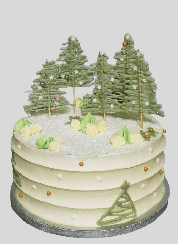 Ideal Winter Cake