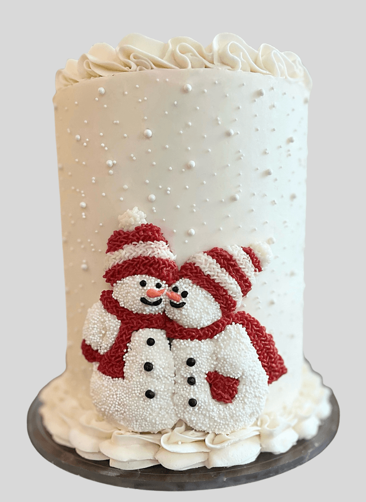 Lovely Winter Cake Design