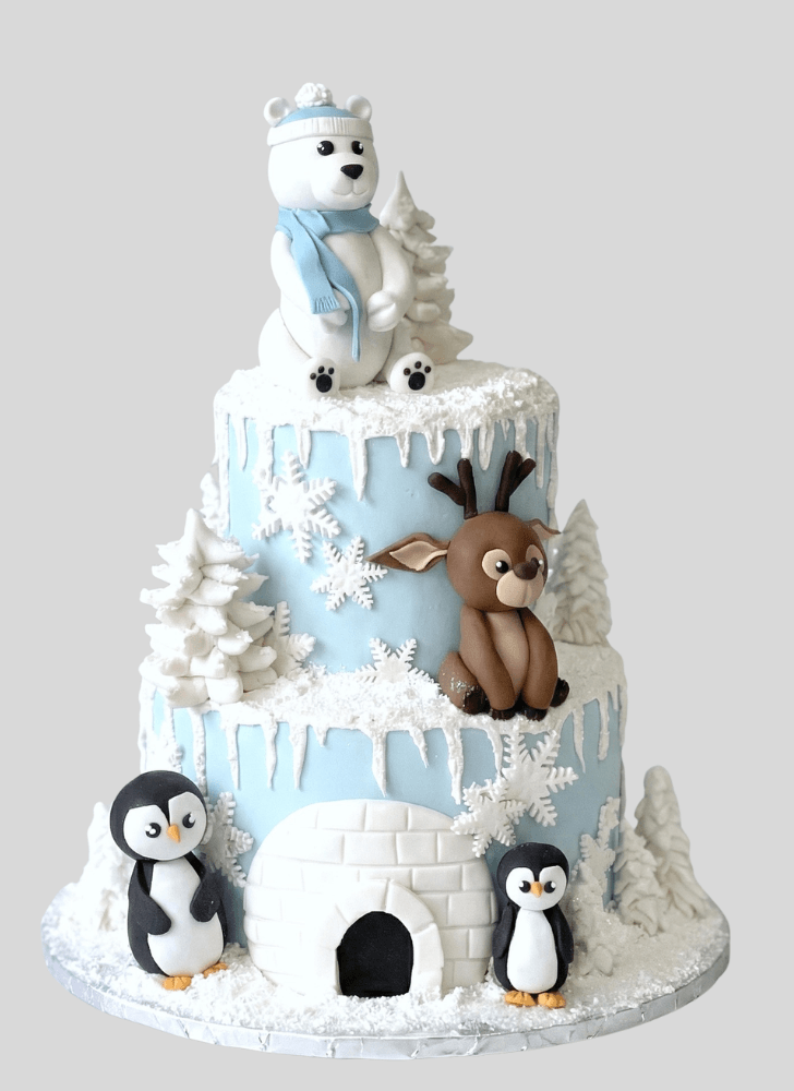 Magnetic Winter Cake